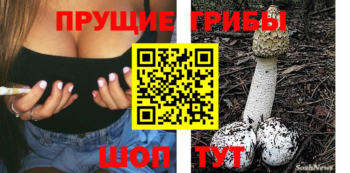 Псилоцибиновые грибы Psilocybine cubensis  Вход с VPN  Фролово  Псилоцибиновые грибы GOLDEN TEACHER 