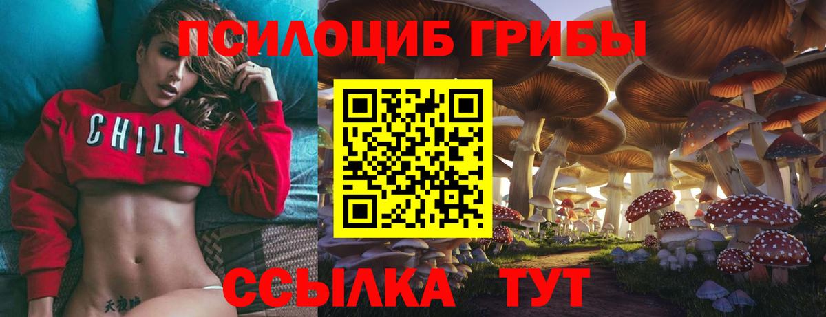 Псилоцибиновые грибы MAGIC MUSHROOMS Фролово